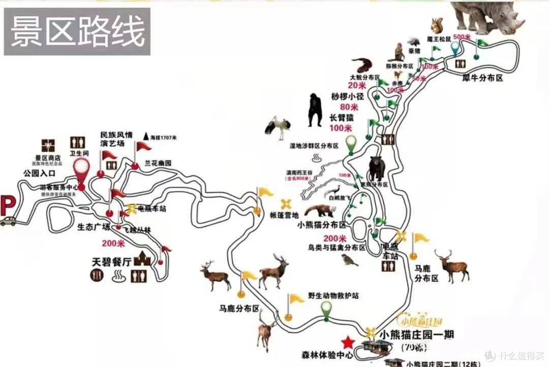 跟着动物园去旅行:你会发现新乐趣!