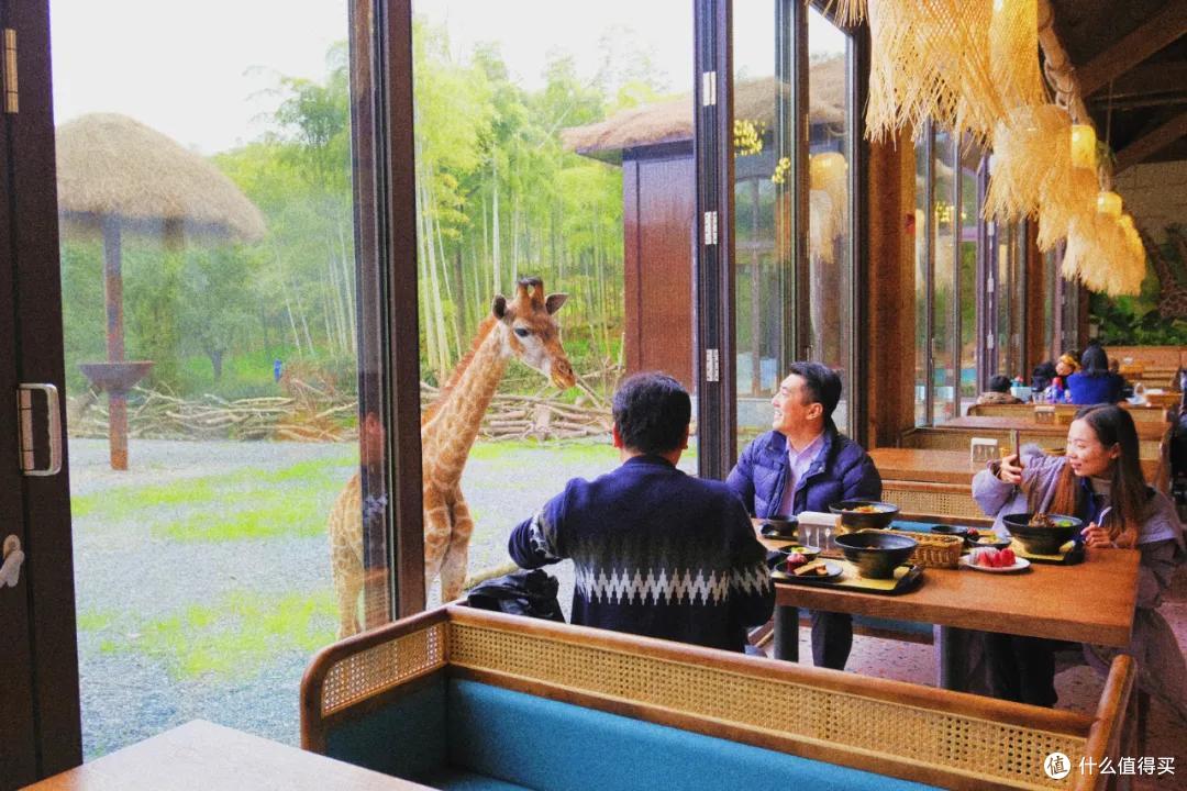 跟着动物园去旅行:你会发现新乐趣!