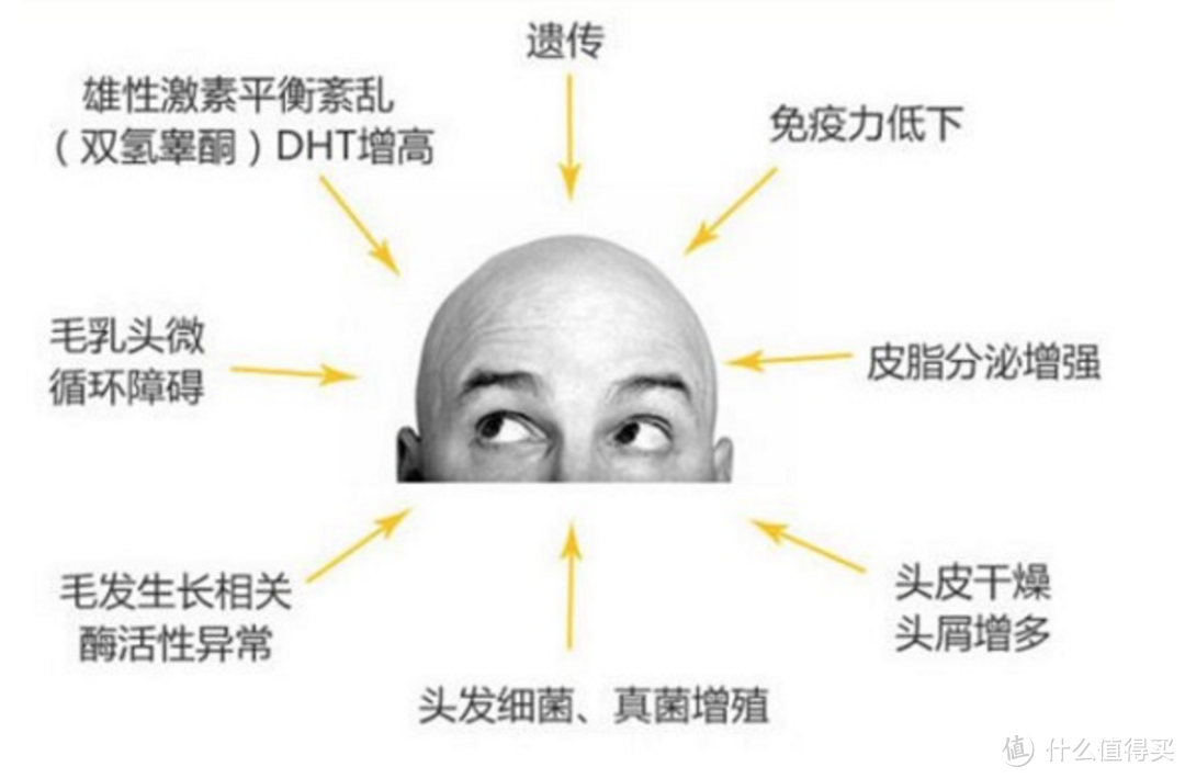 被央视cue...我国2.5亿人受脱发困扰，90后成主力军？！双十二防脱计划该行动起来了...