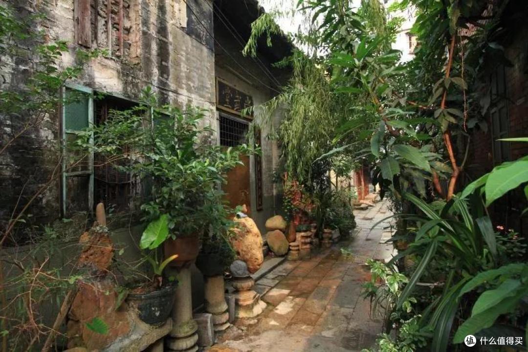 广清城际列车开通后,我迅速定了去清远吃鸡的旅程!