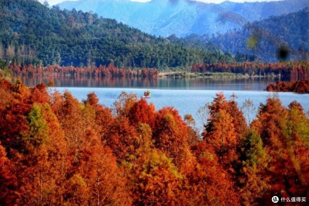 杭州自驾2h,这条江南秋名山的初冬太嗲了