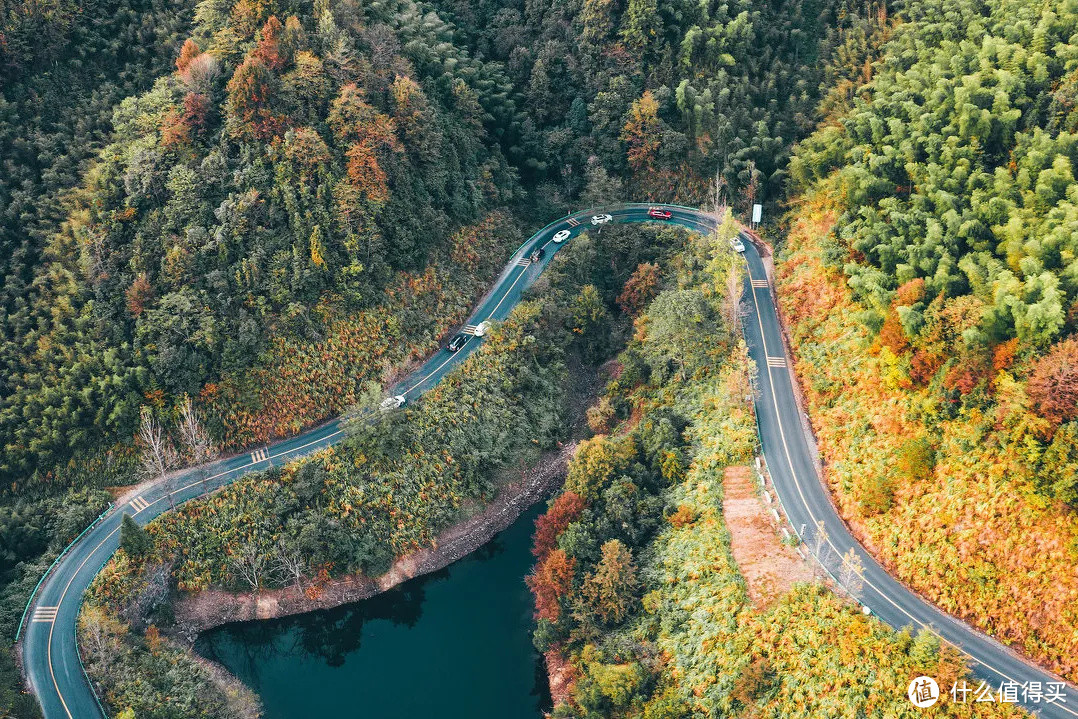 杭州自驾2h，这条江南秋名山的初冬太嗲了