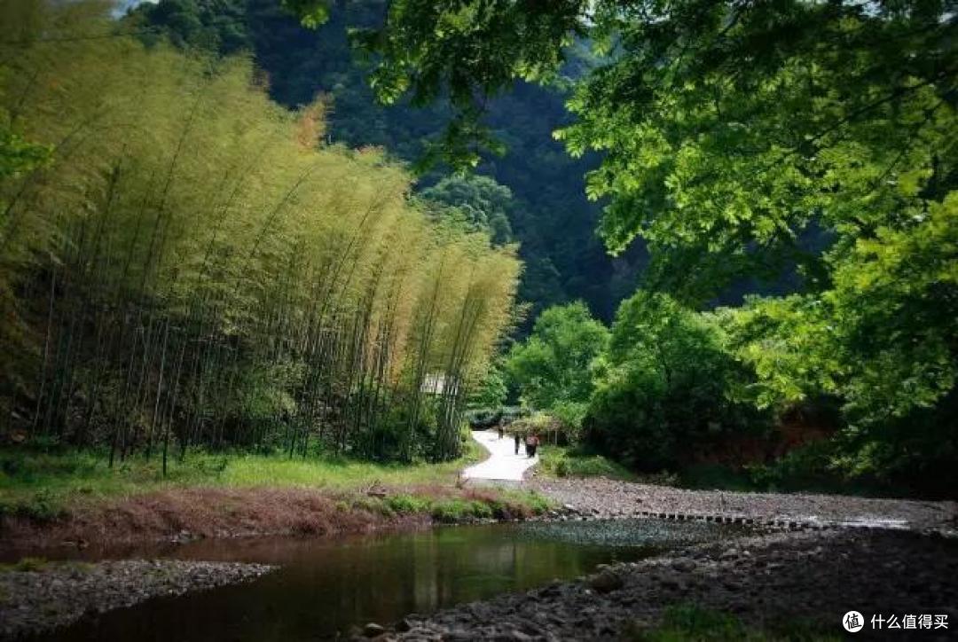 杭州自驾2h,这条江南秋名山的初冬太嗲了