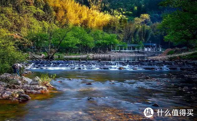 杭州自驾2h，这条江南秋名山的初冬太嗲了