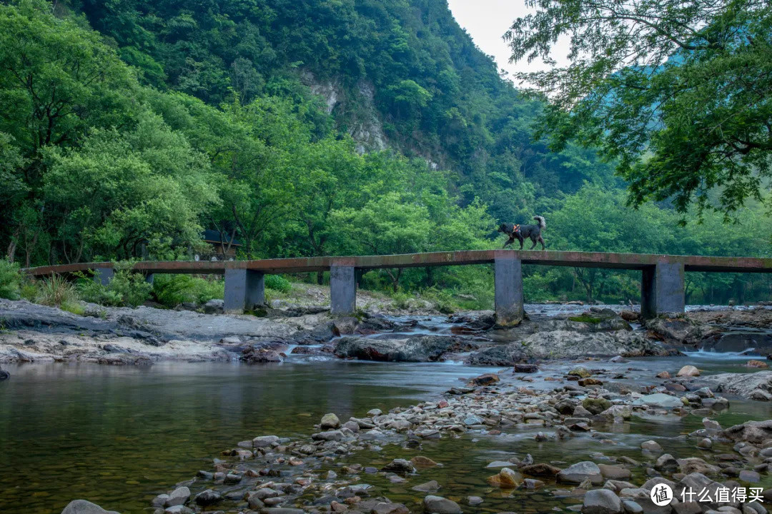 杭州自驾2h，这条江南秋名山的初冬太嗲了