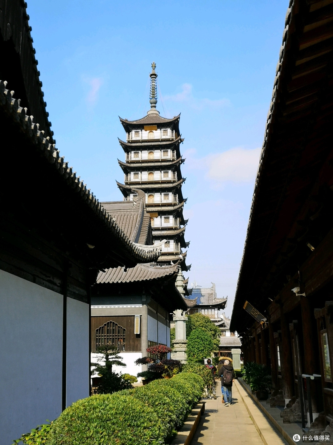 【探店】银杏季的真如寺和羊肉馆