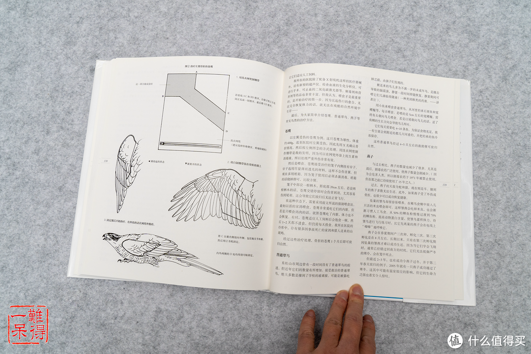 认识鸟儿，有观鸟图鉴相助