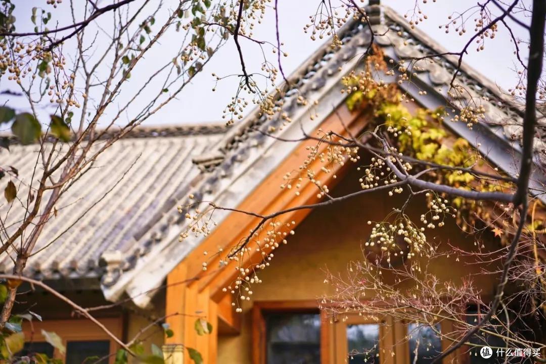 比版纳方便、比三亚人少,你的溜娃地图可以更新了!