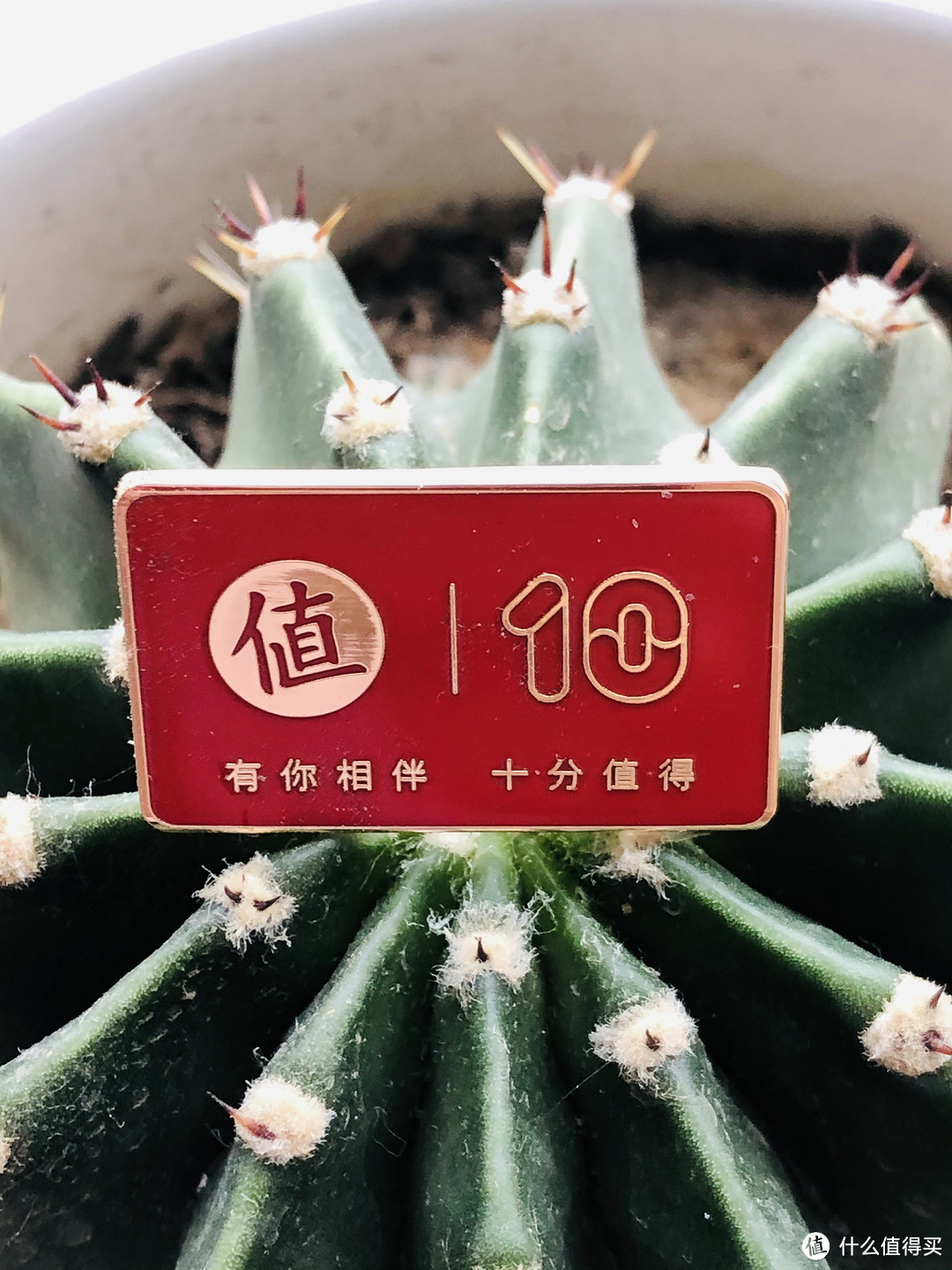 历时四个月，终于收到了张大妈的第一份肯定，以后的路会永相随