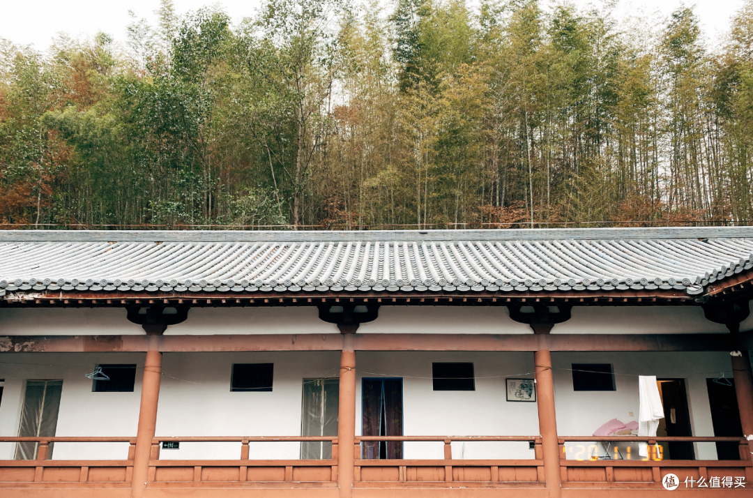 旅行其实很简单篇九百零二7天完全不用手机全程吃素