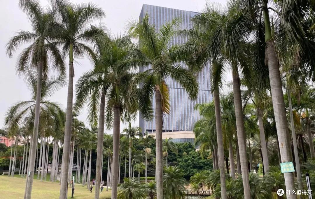 前沿风潮|中国第四家华尔道夫终于开业!迷人厦门这次又迎来了城市庄园新风潮
