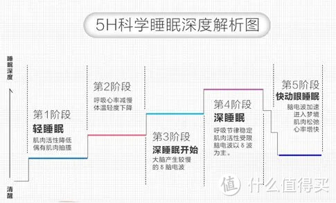 熬夜是否真的会要人命？