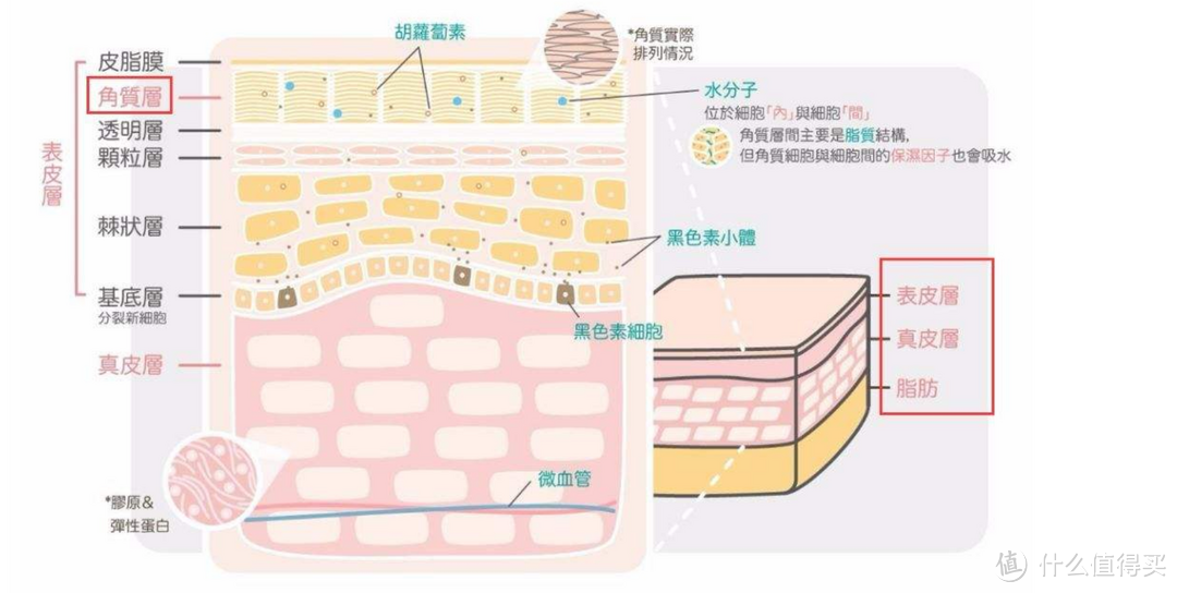 男生如何开始零基础护肤~30+猛男平价护肤体验