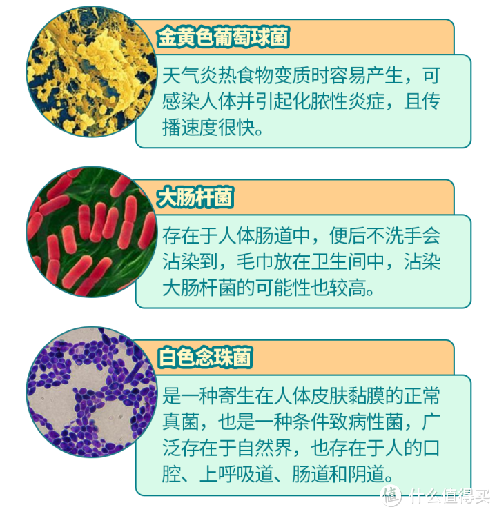 抗菌毛巾测评丨痘痘、痤疮、毛囊炎……抗菌毛巾能拯救敏感肌吗？