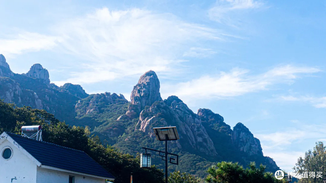 颜面尽失！被两只猢狲撵下了山 | 山东日照6