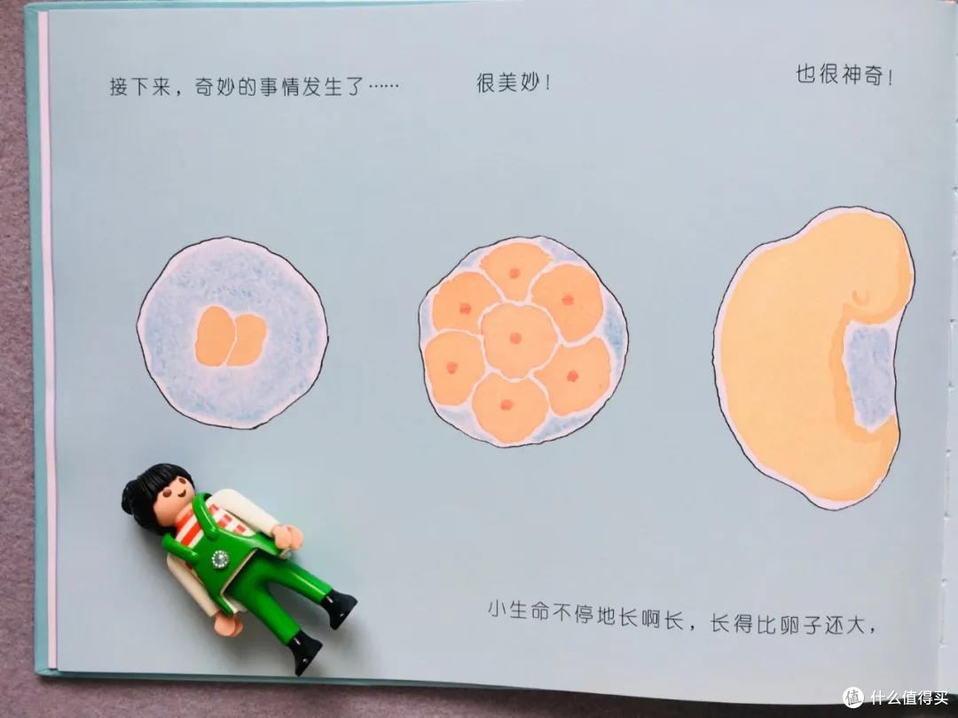 整理1套系统,内含9本好书 | 性教育书单
