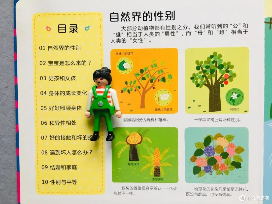 整理1套系统,内含9本好书 | 性教育书单