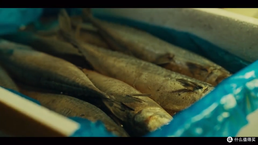 甜蜜家园第一集剧情介绍