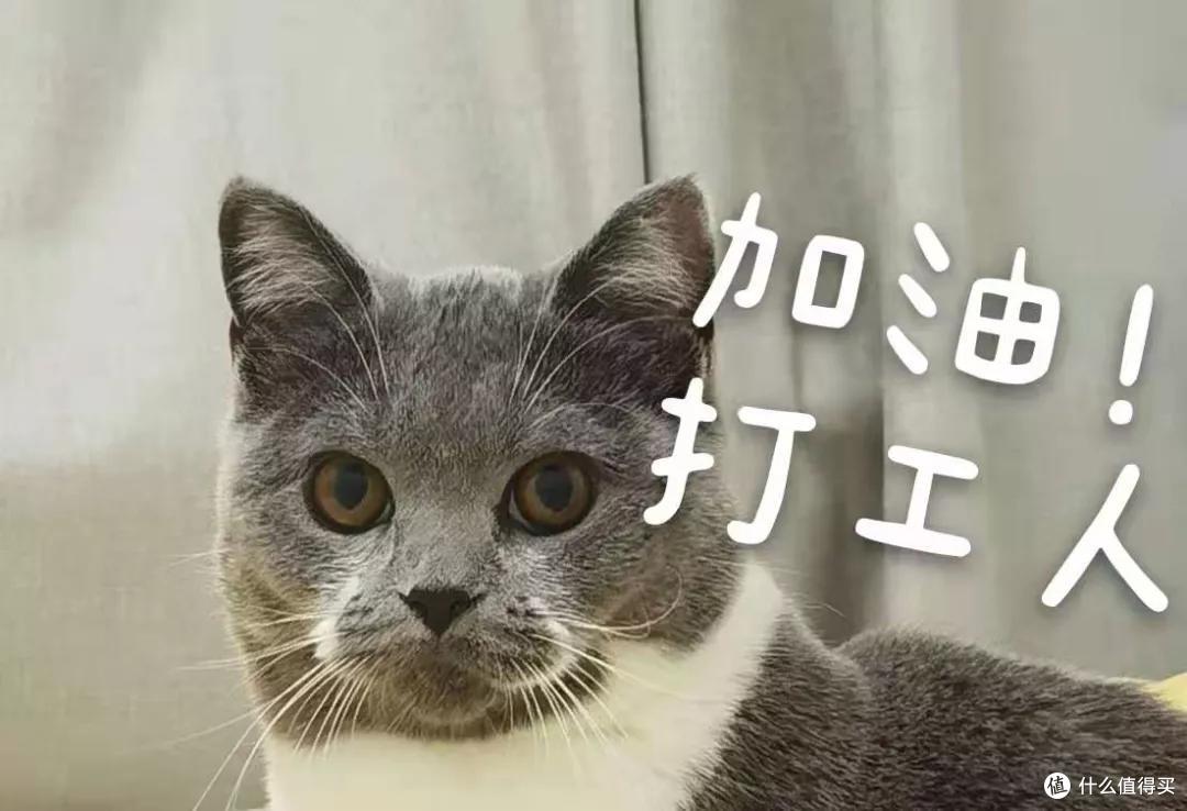 有甲状腺结节就不能买保险?这篇文章终于说清楚了