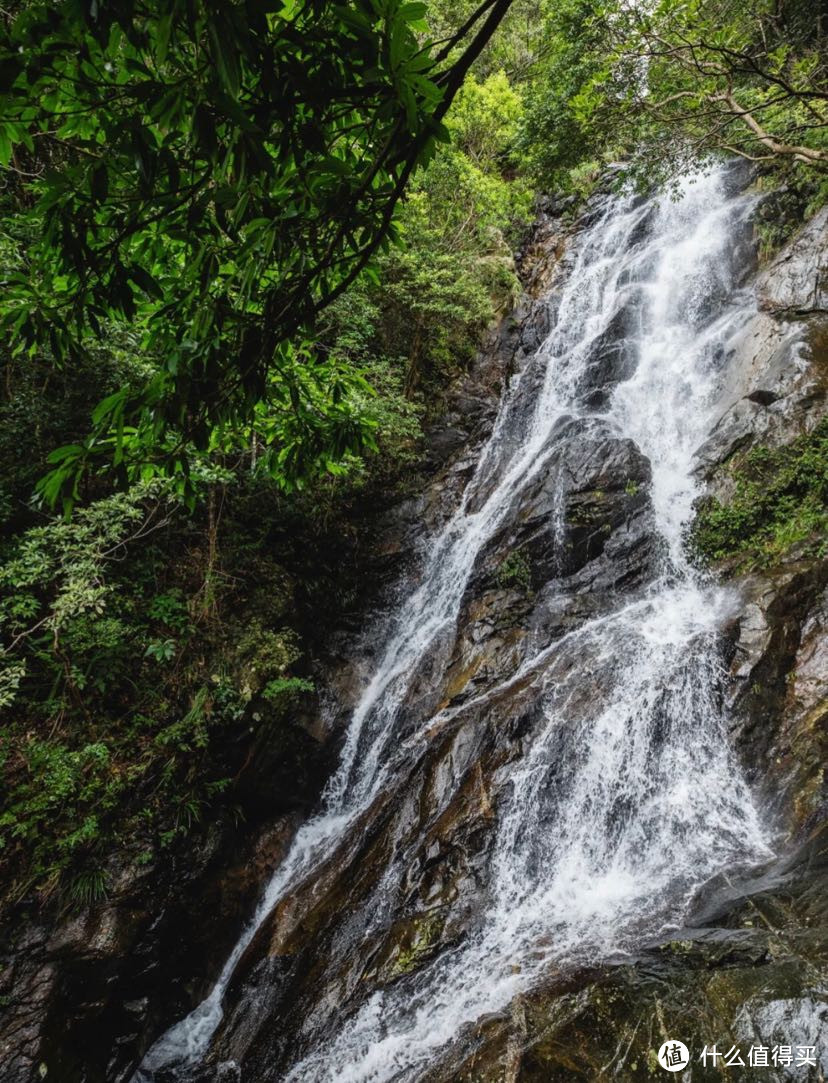 深圳必爬的6座山，快来看看