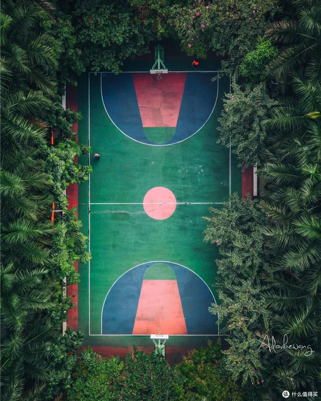 “棕榈道”