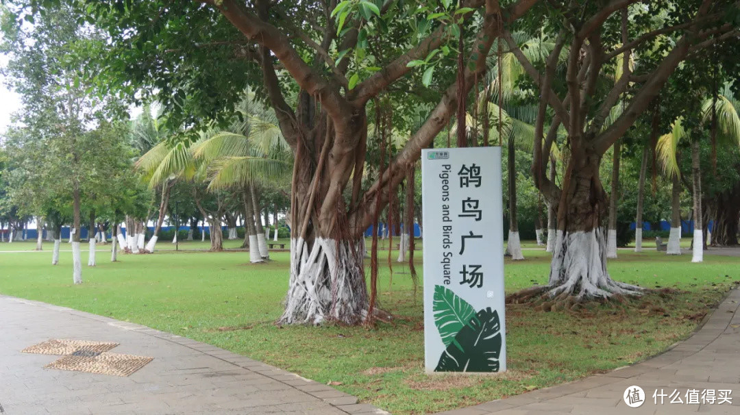 海口48小时：在这个隐形的“早茶天堂”，烦恼只有吃太饱