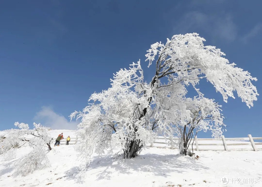 开车1小时，打卡家门口的超大滑雪场