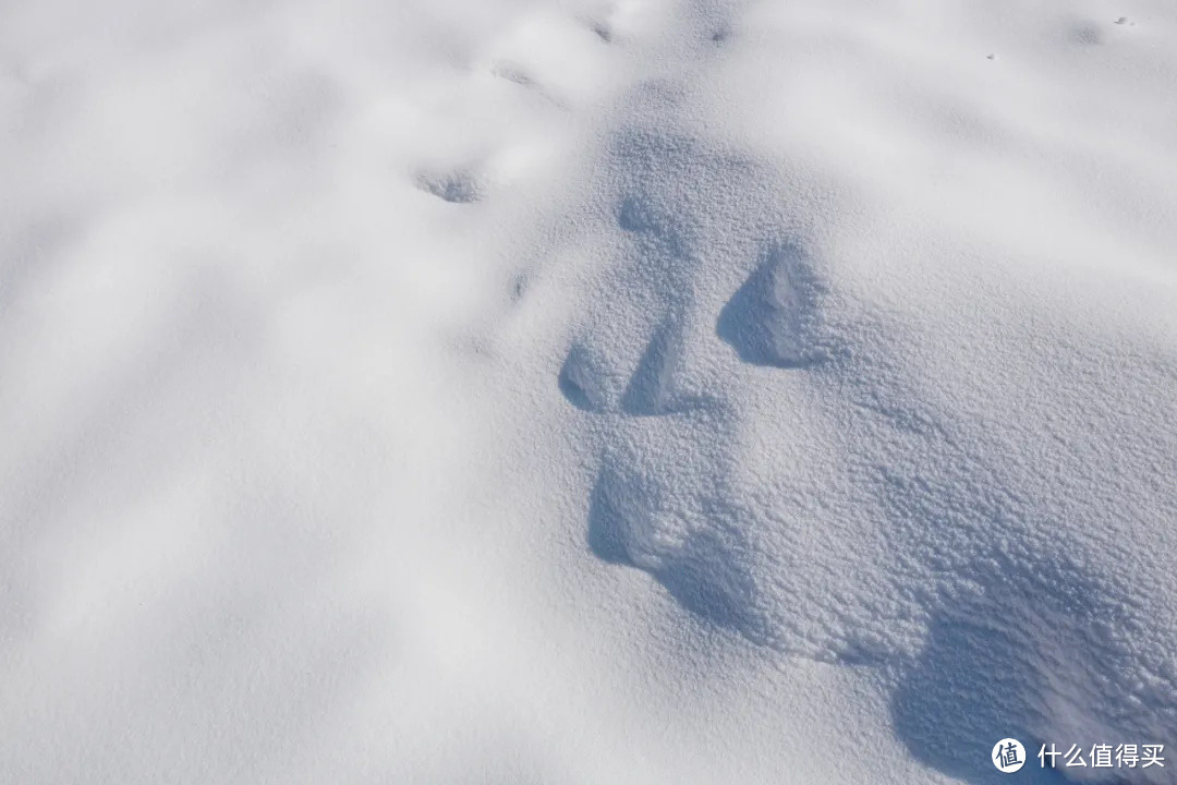 开车1小时，打卡家门口的超大滑雪场