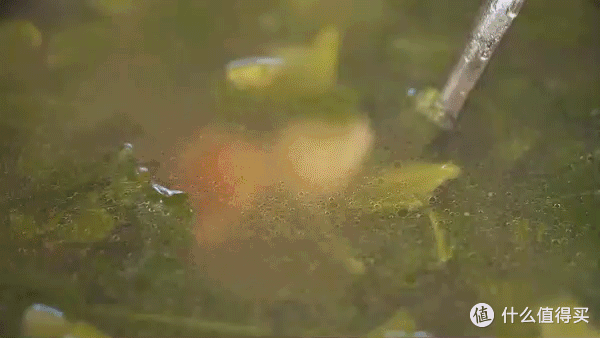 今年最绝的一只鸡，皮脆到自动裂开！难怪迪拜酒店都想偷师