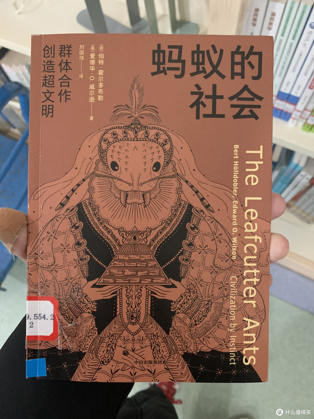 图书馆猿の2020读书计划87:《蚂蚁的社会》