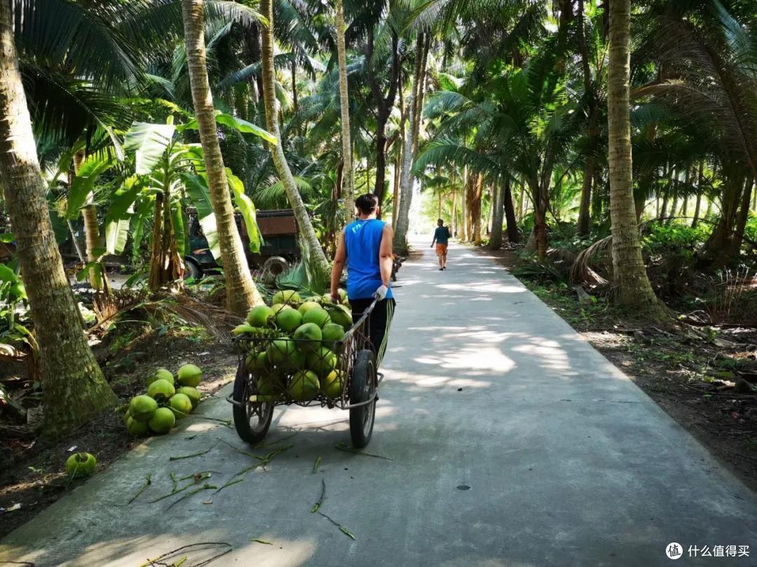 玩海南不走寻常路,去东线最美海滨公路瞧一瞧