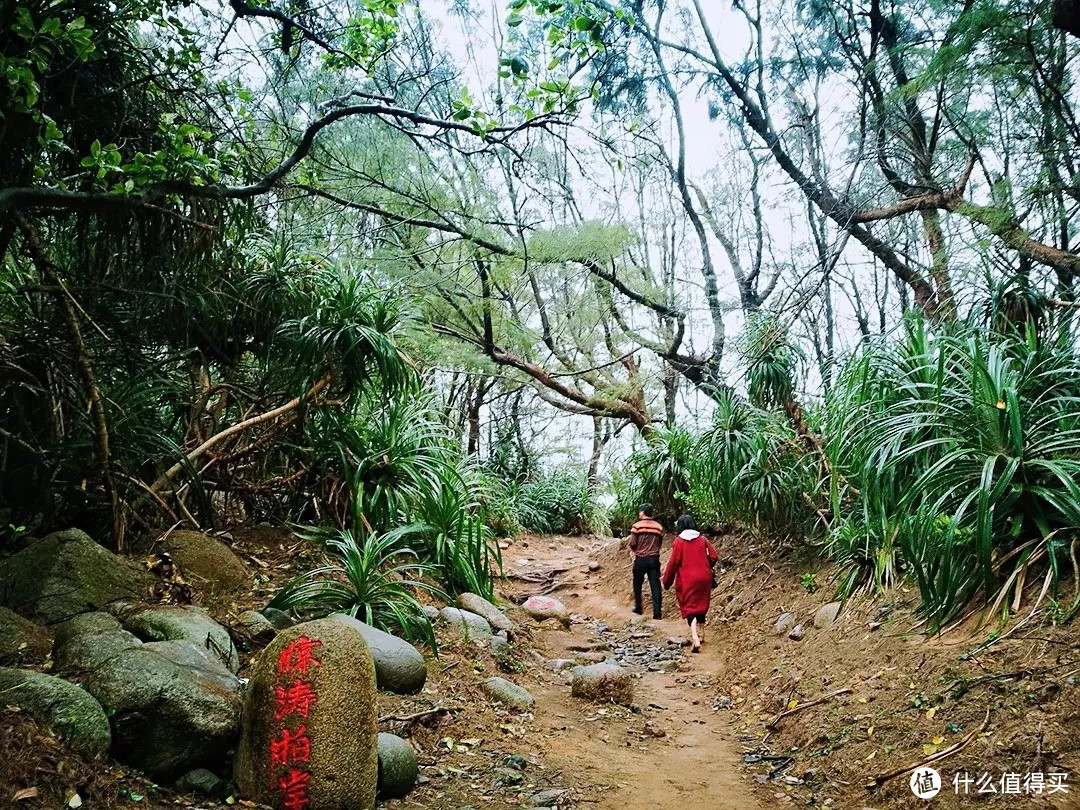 玩海南不走寻常路，去东线最美海滨公路瞧一瞧