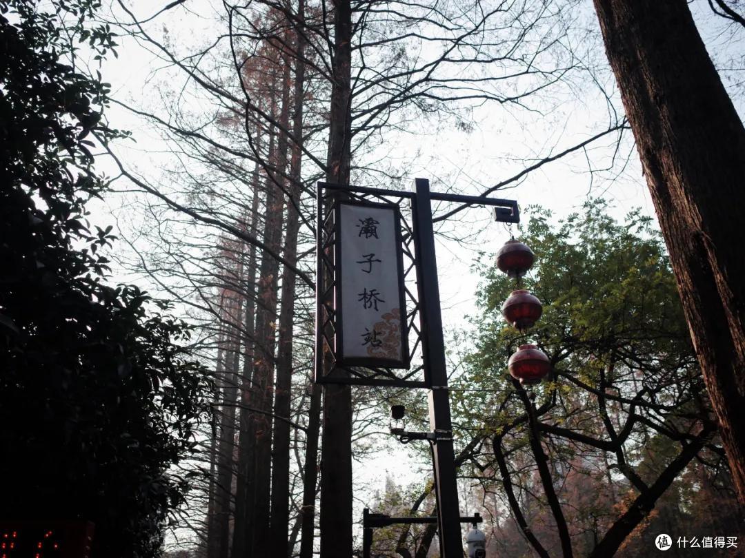 三十年土著不白当!3元钱带你解锁杭州最美水上巴士7号线