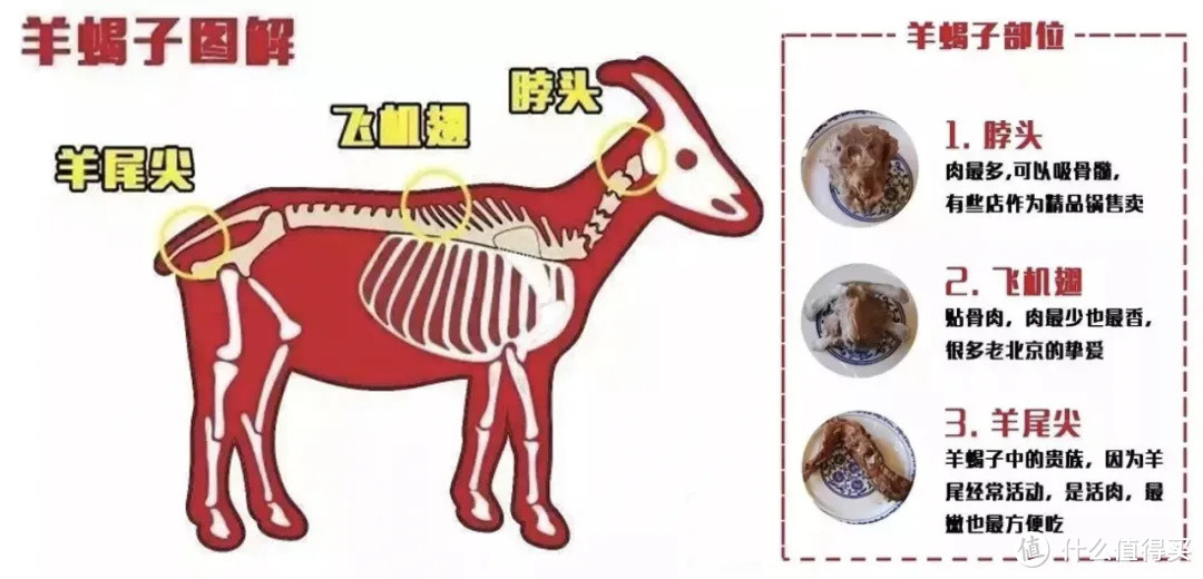 一天剋掉100万斤羊肉,包邮区里就数她最会吃!
