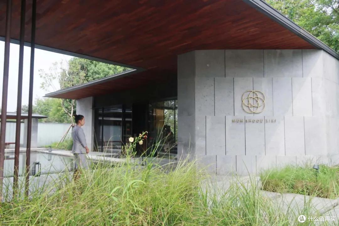 不正经年终总结:2020我在杭州吃过的那些最佳餐厅