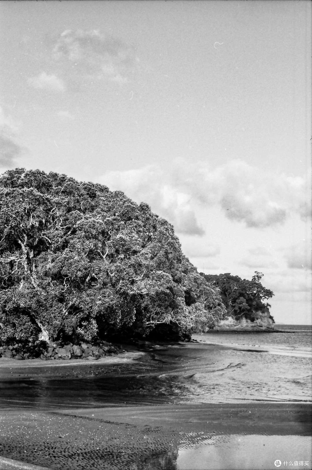 分水岭:Nikon F