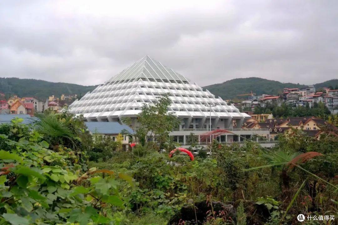 重庆有哪些值得一转的地方?一文带你游遍重庆
