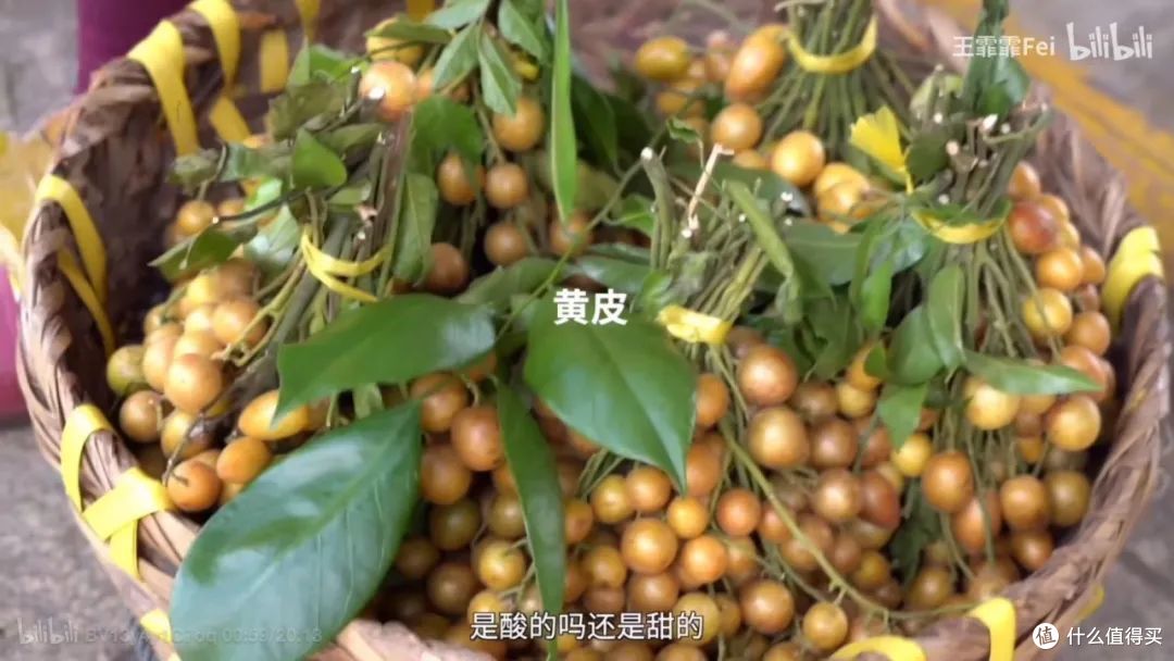 “浪姐”王霏霏推荐、本地人都大赞的海口一日游玩法！