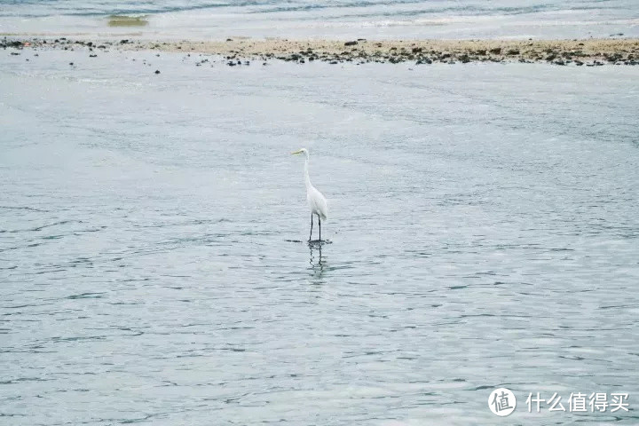 冬天看海的执念,就让温暖的深圳帮忙实现!