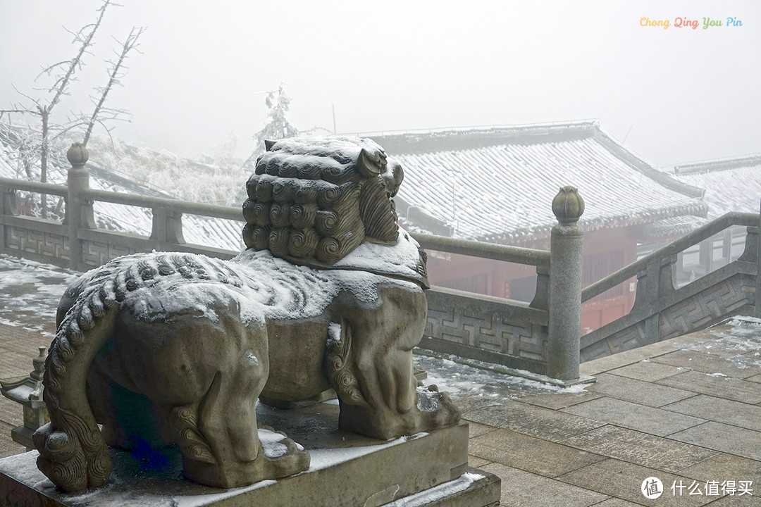 重庆难得的滑雪胜地，冬日里的金佛山，南方人也能看雪了