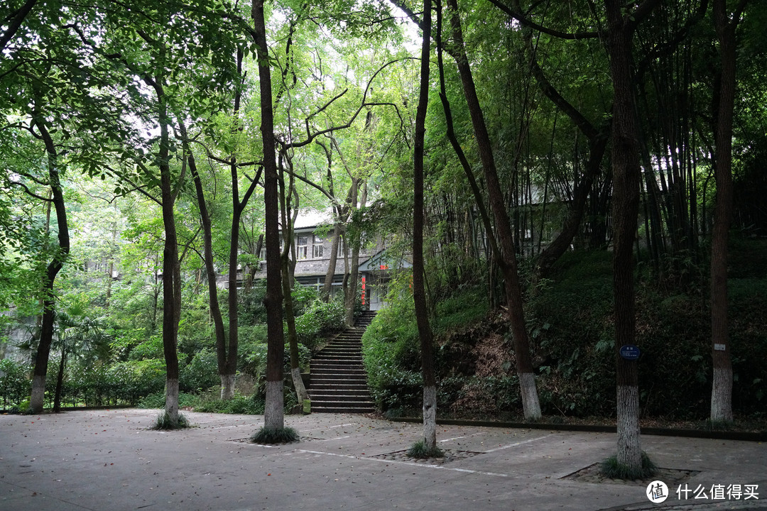 为了传说中的包子，探寻大学深处的食堂