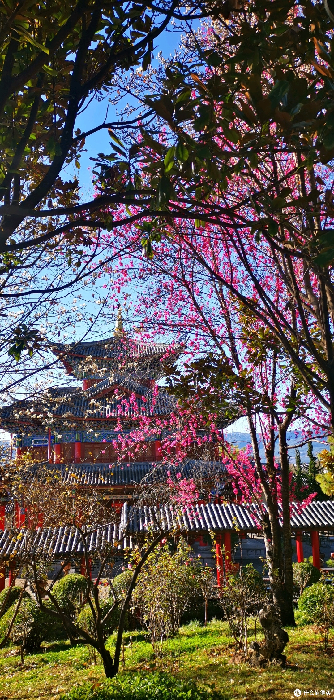 云南之旅03