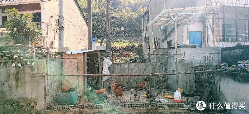 绍兴·上青古道 | 前朝记忆渡红尘 清风竹海隐山村