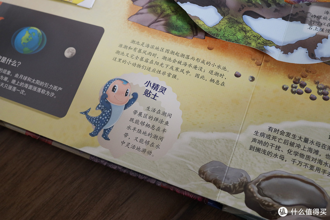 孩子的有声立体动物园:小彼恩毛毛虫中文点读版长隆动物学院科普立体书