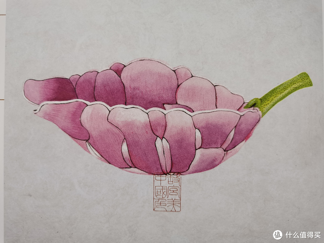 光绪款白地绿彩花式洗 书中手绘