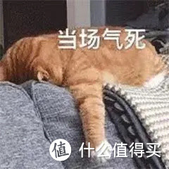 开年暴击!宠物羊奶竟掺假!