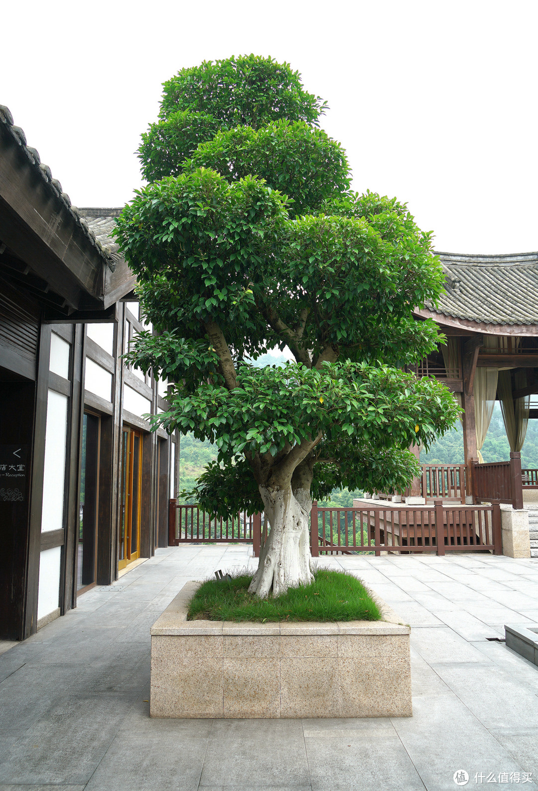 巴山夜雨涨秋池，重庆北碚悦榕庄