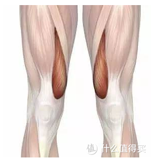 膝盖痛与肌肉不平衡