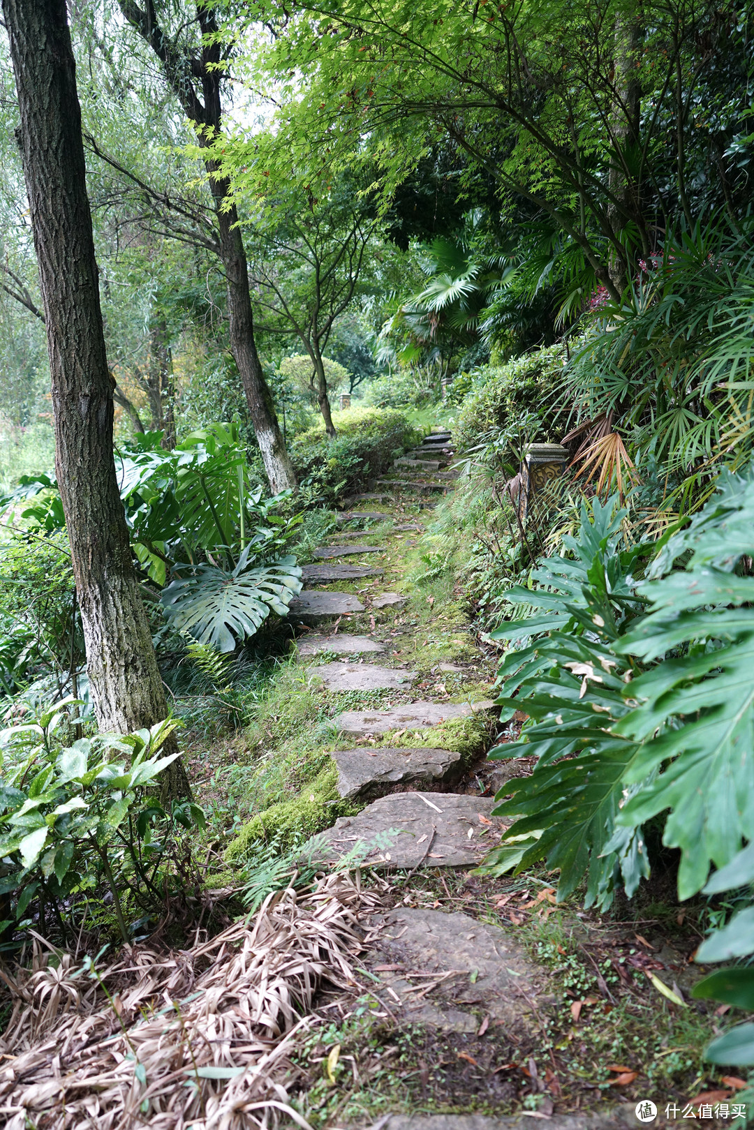 巴山夜雨涨秋池，重庆北碚悦榕庄