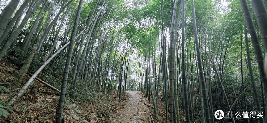 绍兴 · 萧绍古道 | 山阴道上行 如在画中游